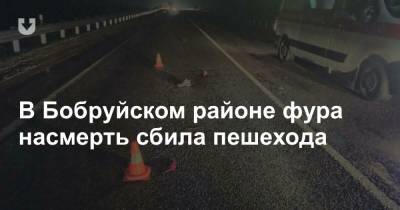 В Бобруйском районе фура насмерть сбила пешехода