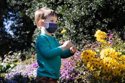 Москвичей предупредили об опасности пыльцевого дождя