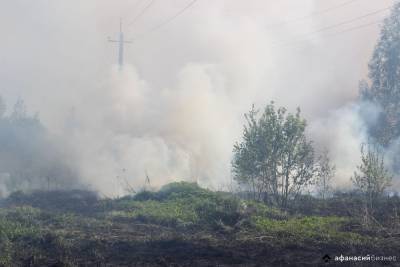 В районах Тверской области вводят противопожарный режим