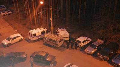 Воронежцы сообщили о смертельной драке в микрорайоне «Электроника»