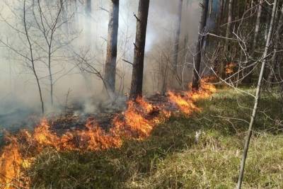 В Тамбовской области начался пожароопасный период
