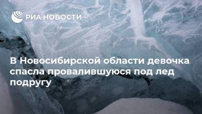 В Новосибирской области девочка спасла провалившуюся под лед подругу