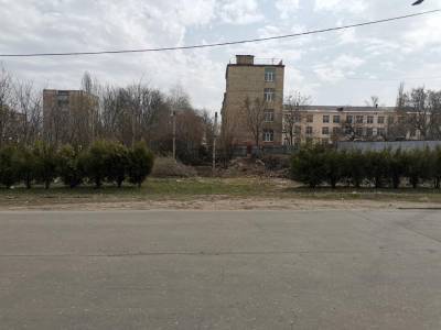 "Лисичанск будет жить": в центре города началась ликвидация "зомби-парка"