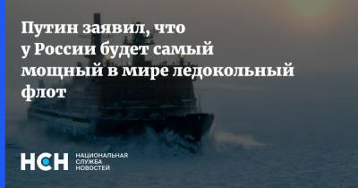 Путин заявил, что у России будет самый мощный в мире ледокольный флот