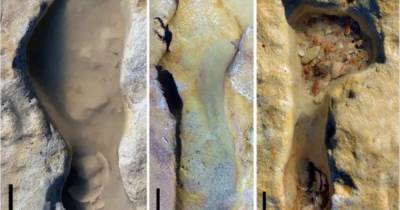 За 100 тыс. лет дети не изменились. Ученые нашли следы молодых неандертальцев, игравших в песке