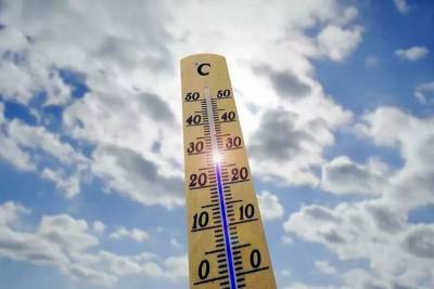 Погода в Тверской области побила еще один температурный рекорд