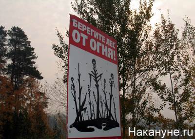 На Среднем Урале из-за поджога травы едва не сгорели 30 жилых домов