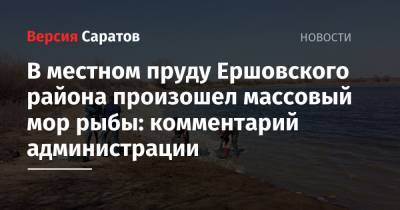 В местном пруду Ершовского района произошел массовый мор рыбы: комментарий администрации