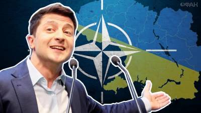 «Три ступени к войне»: Альгис Микульскис об опасных маневрах НАТО и ошибке Украины