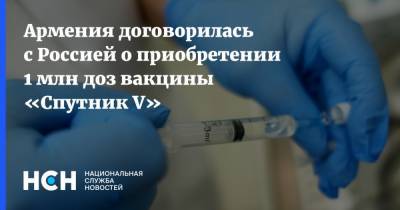 Армения договорилась с Россией о приобретении 1 млн доз вакцины «Спутник V»