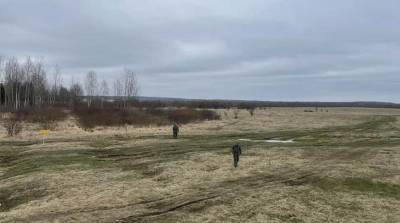 В Докшицком районе саперы нашли более 700 артснарядов