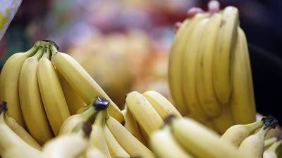 Генетик оценил угрозу исчезновения бананов