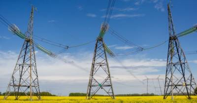 Новый рынок электроэнергии: директор Энерго Сбыт Транс рассказал, как поставщику привлечь клиентов - dsnews.ua