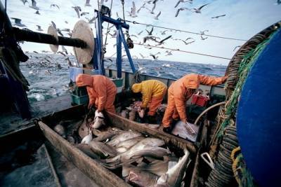 «Рыбную» тему обсудили заполярные власти и промышленники