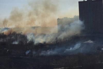 Видео: за гипермаркетом «Зельгрос» в Рязани загорелась трава