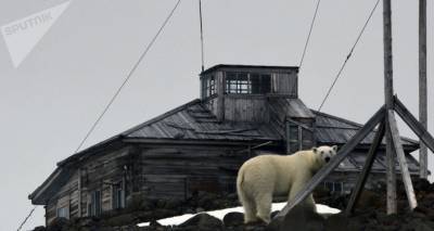 "Ждем технику к августу": американцы готовятся к высадке в Арктике