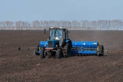 В Тамбовской области засеяли более 20 гектаров полей