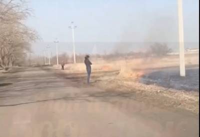 В Воронеже наткнулись на поджигателей сухой травы в Масловке (ВИДЕО)