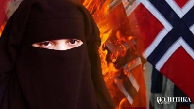 Неверное королевство: Понасенков поддержал борьбу Норвегии против исламизации