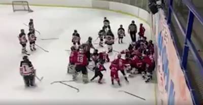 Юные хоккеисты устроили массовую драку после матча на детском турнире в Белгородской области — видео