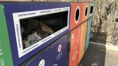Новые меры поддержки отрасли обращения с ТКО могут повлиять на стоимость вывоза мусора
