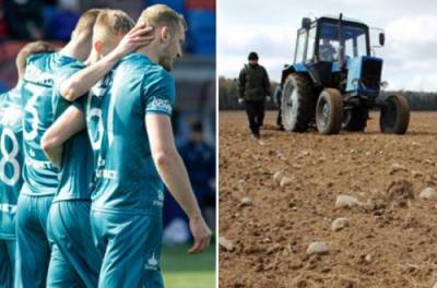 В Беларуси футбольную команду отправили работать в колхоз после неудач на чемпионате