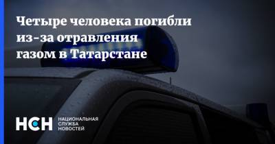 Четыре человека погибли из-за отравления газом в Татарстане