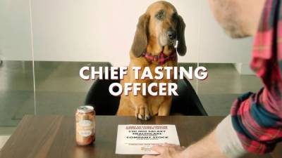 Работа для вашего любимца: пивоваренная компания ищет собаку-дегустатора за 20 тысяч долларов