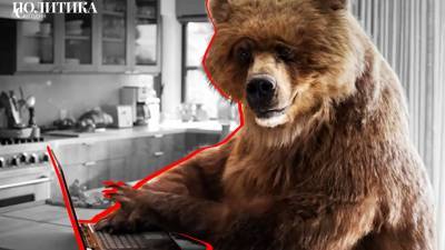 Неуловимые медведи. Хакер рассказал, почему Швеция не найдет «русских взломщиков»