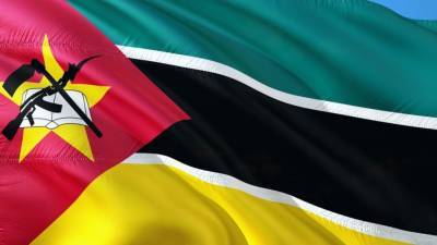 Власти Мозамбика подсчитали ущерб от нападения террористов на город Пальма