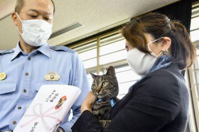 В Японии кошку на целый день назначили главой полицейского управления