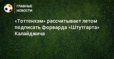 «Тоттенхэм» рассчитывает летом подписать форварда «Штутгарта» Калайджича - bombardir.ru
