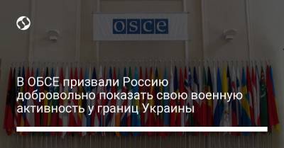 В ОБСЕ призвали Россию добровольно показать свою военную активность у границ Украины