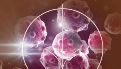 Способность COVID-19 подавлять раковые клетки обнаружили врачи