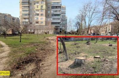 В Киеве уничтожили деревья в сквере, созданном в честь украинского разведчика