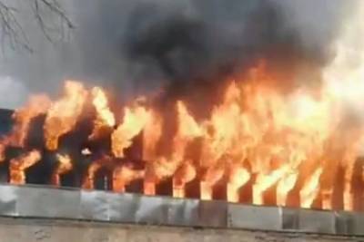 Адвокат: документы Невской мануфактуры полностью сгорели в пожаре