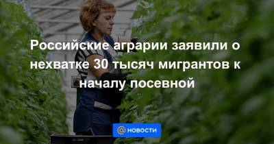 Российские аграрии заявили о нехватке 30 тысяч мигрантов к началу посевной