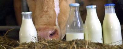 Врач-диетолог объяснила, какое молоко может навредить