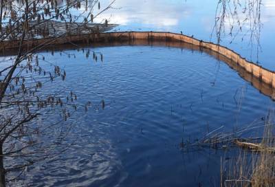 Участок Финского залива в Выборге подвергся загрязнению нефтепродуктами