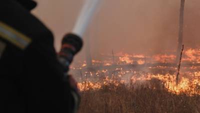 Спасатели за сутки ликвидировали в России 33 лесных пожара на площади 256 га