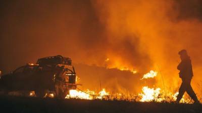 Лесные пожары в России охватили более 475 гектаров земли