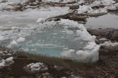 МЧС предупредило об опасности весеннего льда