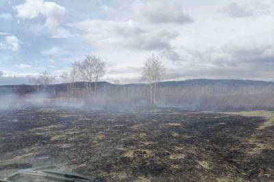 В Бурятии из-за сельхозпалов вспыхнули лесные пожары