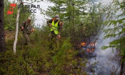 На Сахалине объявили начало пожароопасного сезона - fedpress.ru - Сахалинская обл. - Южно-Сахалинск - район Корсаковский