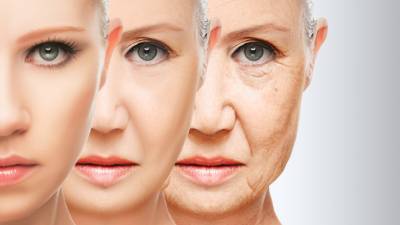 Определены три этапа старения человека