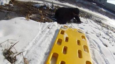 МЧС предупредило о смертельной опасности при выходе на весенний лед