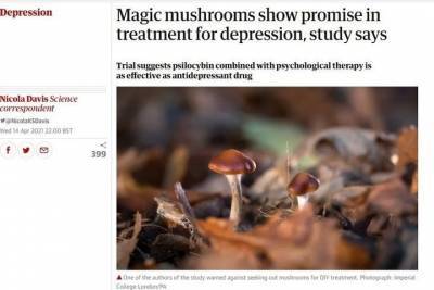 СМИ: Псилоцибиновые грибы назвали полноценной альтернативой антидепрессантов