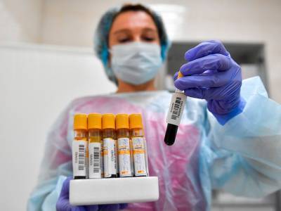 Возвращающихся из-за границы россиян обязали сдавать тест на коронавирус
