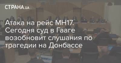 Атака на рейс МН17. Сегодня суд в Гааге возобновит слушания по трагедии на Донбассе