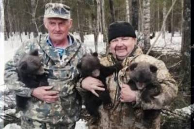 Спасенных в Костромской области медвежат будут воспитывать в Твери